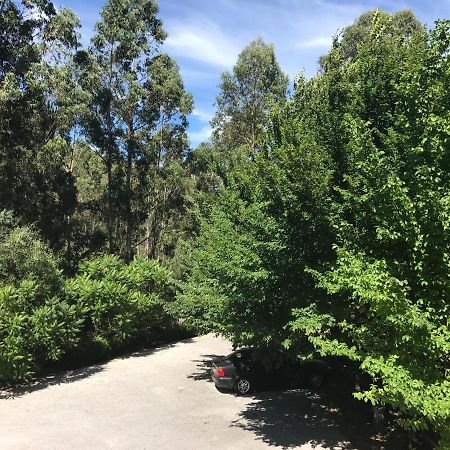 卡什塔涅拉德佩拉Europa住宿加早餐旅馆 外观 照片
