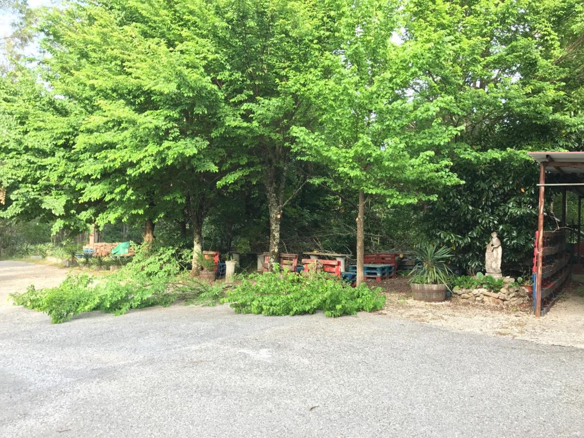 卡什塔涅拉德佩拉Europa住宿加早餐旅馆 外观 照片