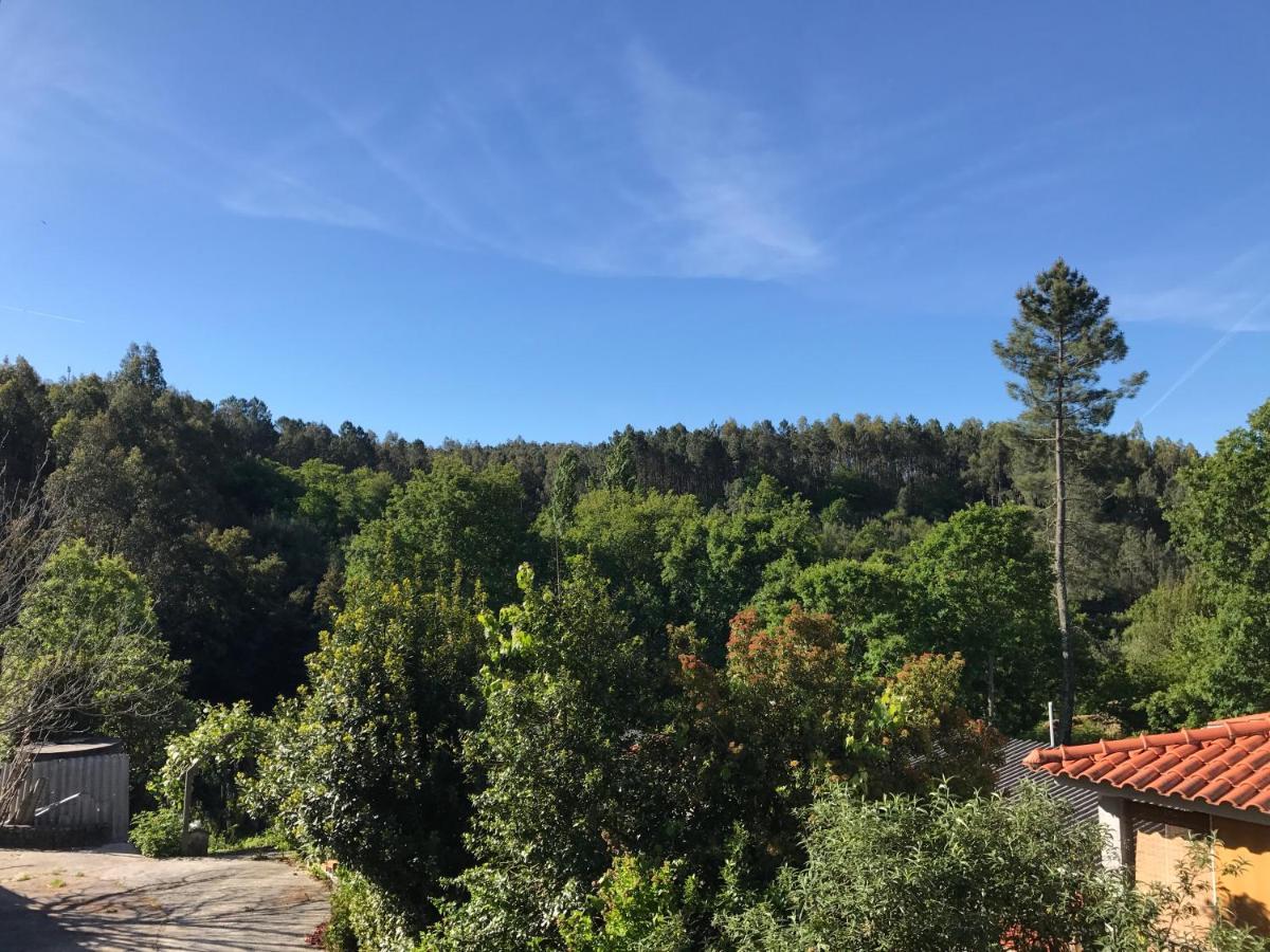 卡什塔涅拉德佩拉Europa住宿加早餐旅馆 外观 照片